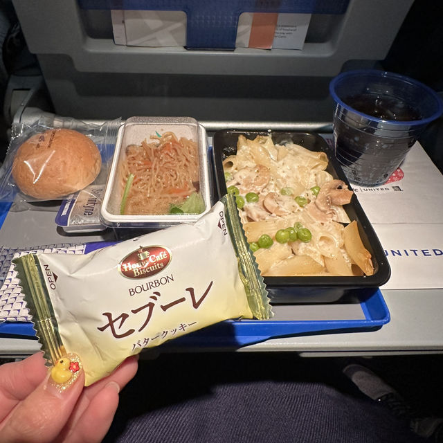 【グアム】ユナイテッド航空（搭乗記）