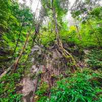 น้ำตกแม่ปาน (Mae Pan Waterfall) เชียงใหม่