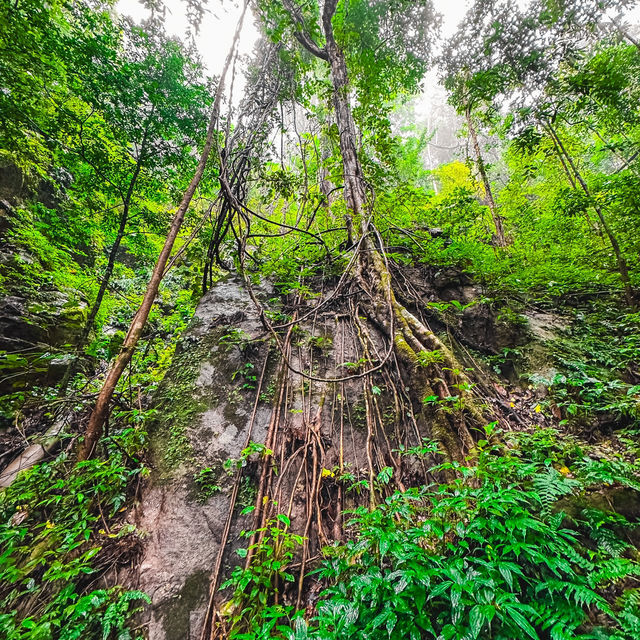 น้ำตกแม่ปาน (Mae Pan Waterfall) เชียงใหม่