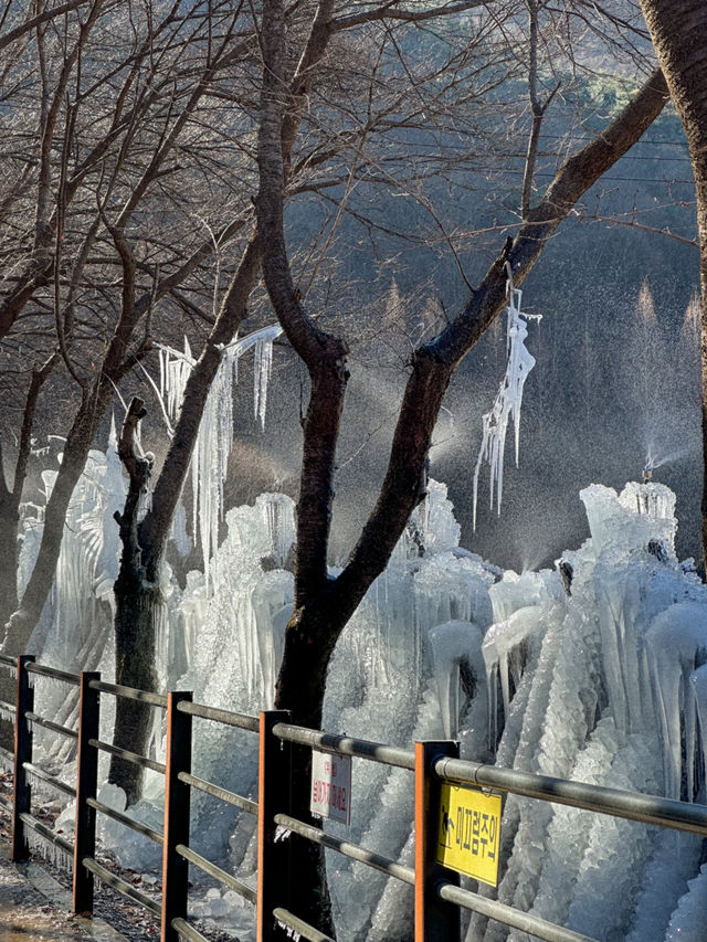 대전에 있는 겨울왕국❄️