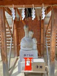 【東京】2025年初詣に行ってほしい!!最強神社はココ!!