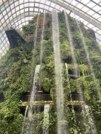โดมยักษ์ Cloud Forest 🍃