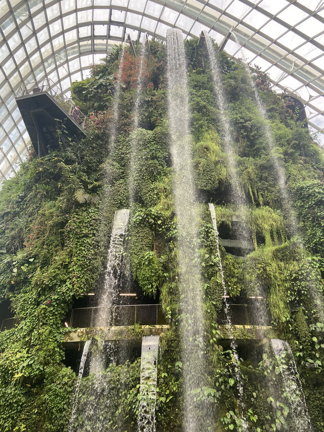 โดมยักษ์ Cloud Forest 🍃