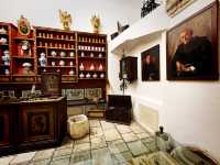 Historic Splendor: The Enchanting Rector’s Palace