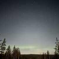 Catching Auroras 