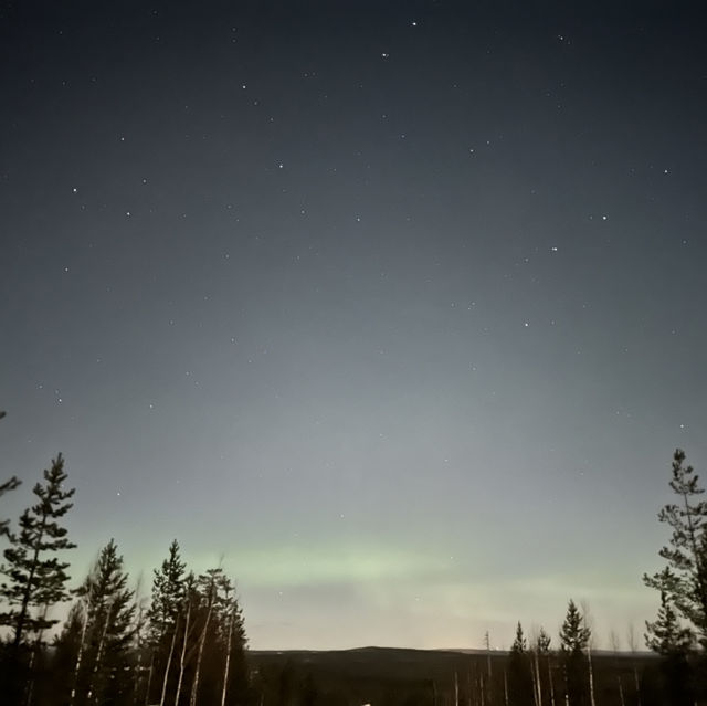 Catching Auroras 