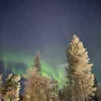 Catching Auroras 