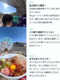 【三崎まぐろ切符で楽々旅🐟✨】 