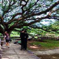เที่ยวเมืองกาญจนบุรี ทริป2