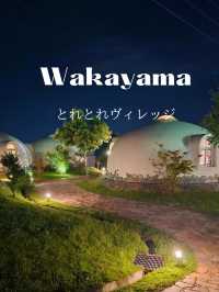 【和歌山ホテル】