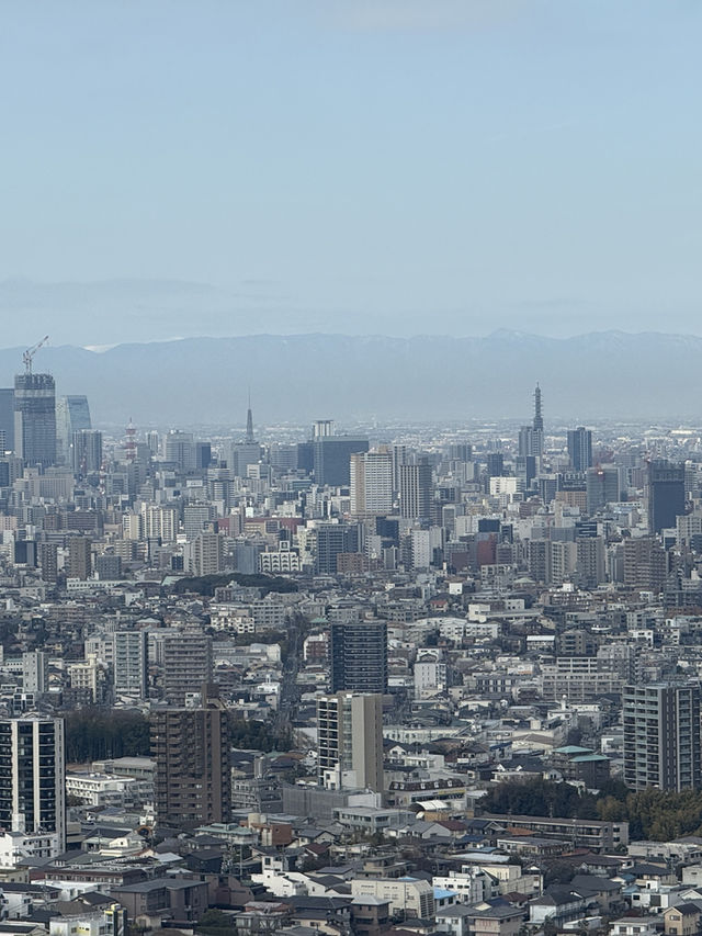 Ascend A Nagoya Landmark, The Higashiyama Sky Tower 🗼🏙️🇯🇵