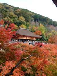 【京都】秋の清水寺で特別なひとときを🍁