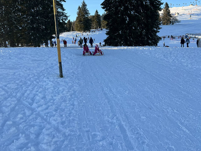 Family Road Trip Creating Moments at Germany, Switzerland and France