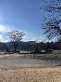 【小諸市🇯🇵】大型遊具で1日遊べる！とにかく広い大型公園🏞