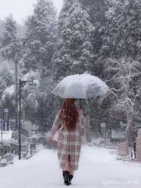 Sendai ในวันที่หิมะโปรยปราย~🌨️❄️🇯🇵