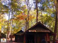 โรงเรียนการเมืองทหาร 