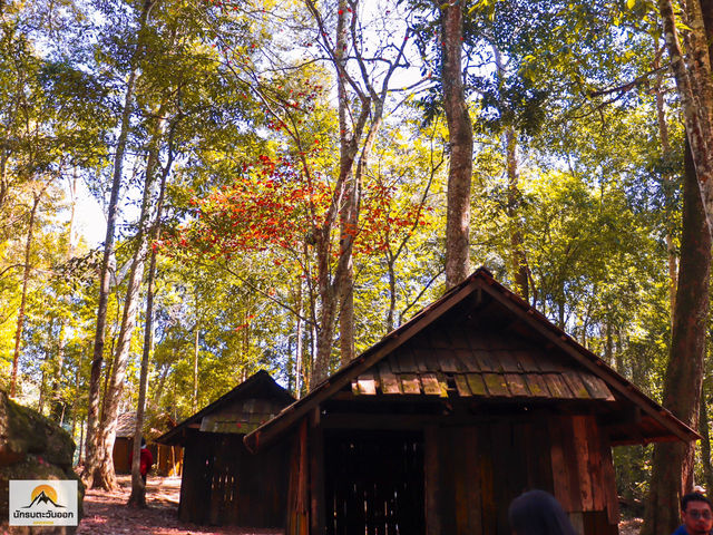 โรงเรียนการเมืองทหาร 