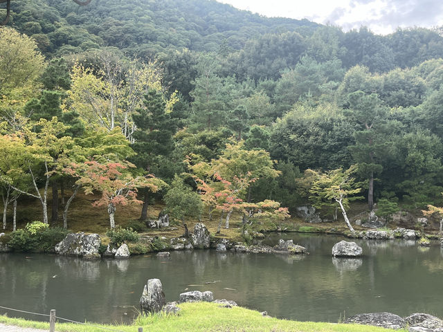 天龍寺｜進門可見👀趣味達摩畫像的禪寺