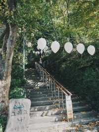 情侶必去！浪漫滿分的大邱八公山