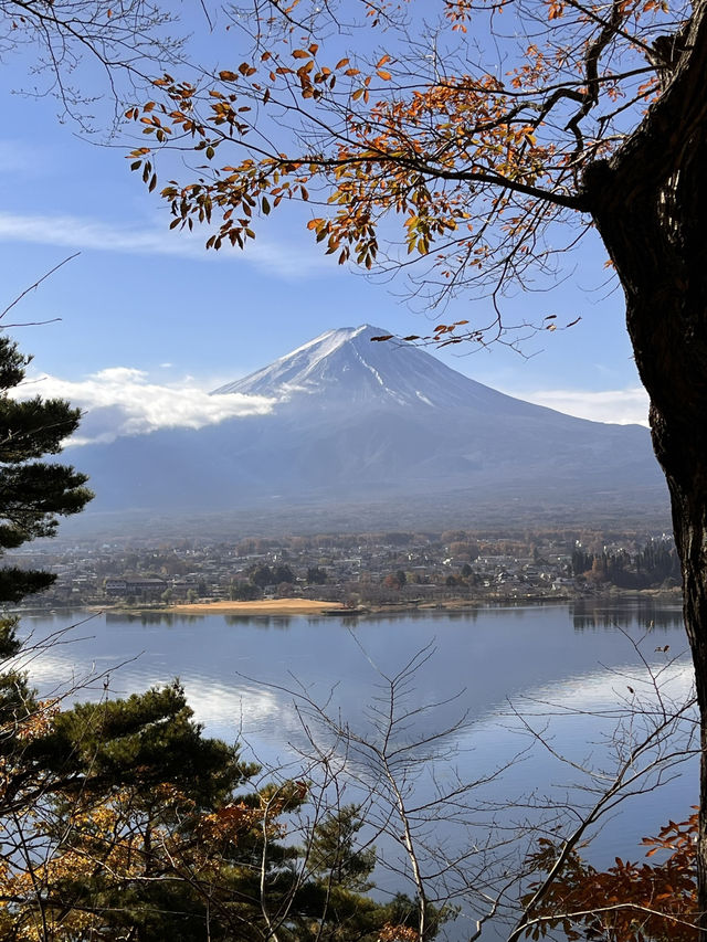 【山梨】逆さ富士が見えるコスパ最強ロッジ