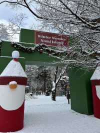 남이섬에서 Winter Wonder Nami Island축제 즐기기☃️