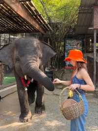 Pattaya （親子旅遊適用）🇹🇭 MongChang Cafe🐘