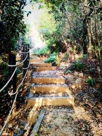 香港郊遊：大嶼山大陰頂(試新路)