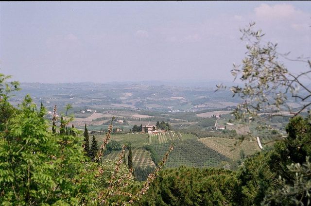 Sunny San Gimignano