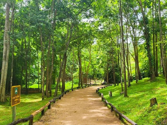 Tha Pai Hot Spring น้ำพุร้อนท่าปาย แม่ฮ่องสอน