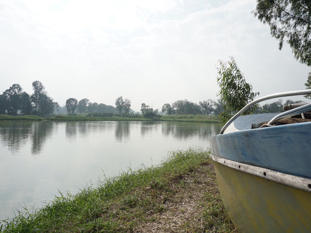 Hong Kong’s Hidden Wetlands: Our Nam Sang Wai Cycling Trip