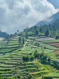 Dieng Plateau
