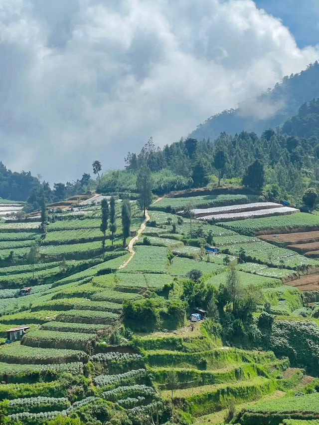 Dieng Plateau