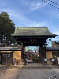 Gotokuji Temple 😸 วัดแมวกวักนำโชคในโตเกียว