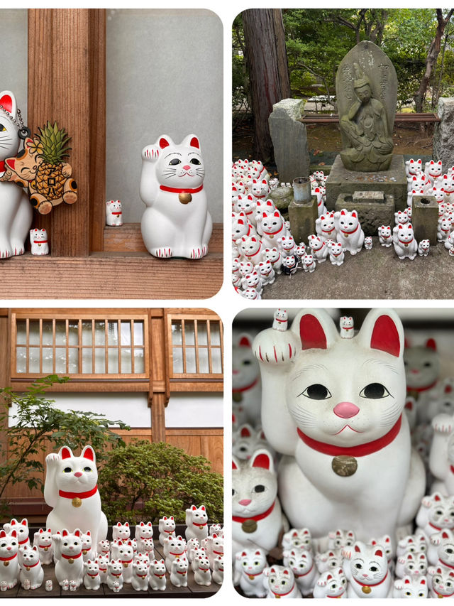 尋找東京🇯🇵招財貓🐱之旅 (二)