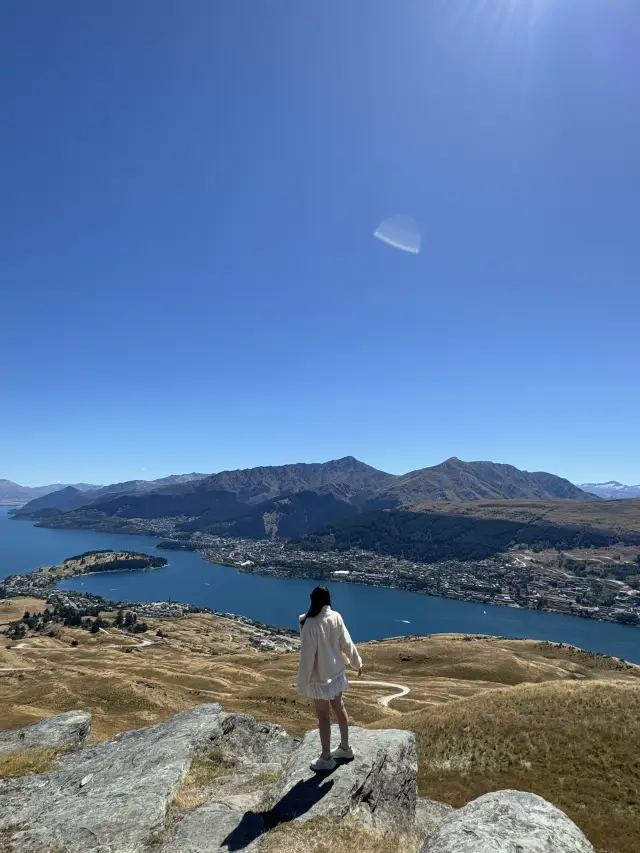 新西蘭景點🇳🇿極推薦自駕遊必去景點🦌