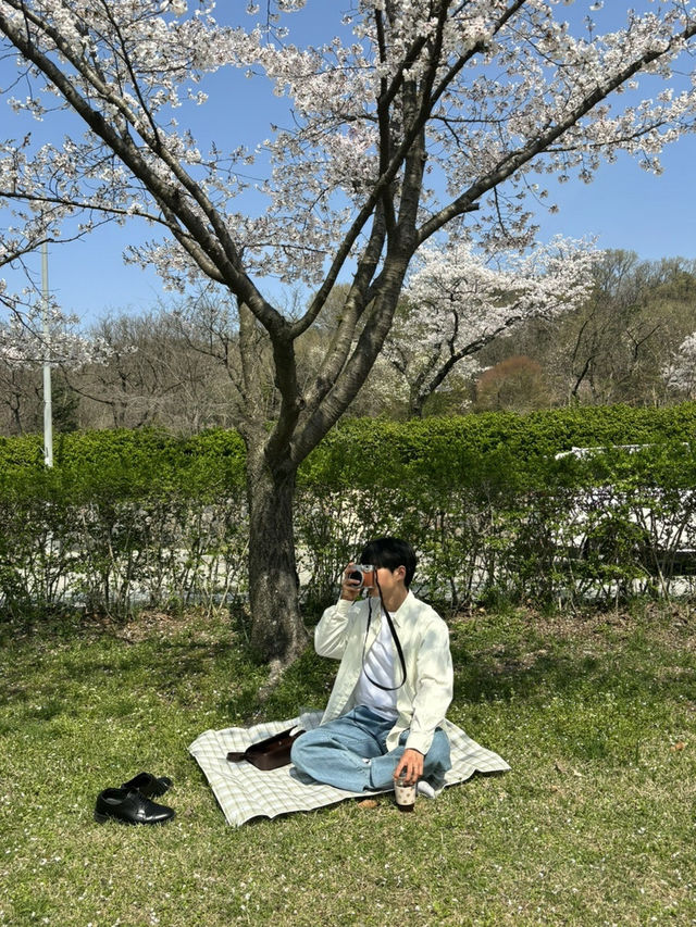 부여 피크닉