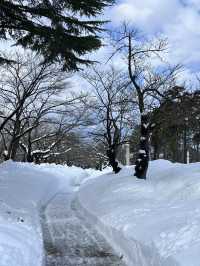 新潟県上越市の高田城