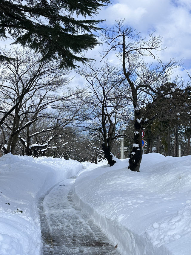 新潟県上越市の高田城