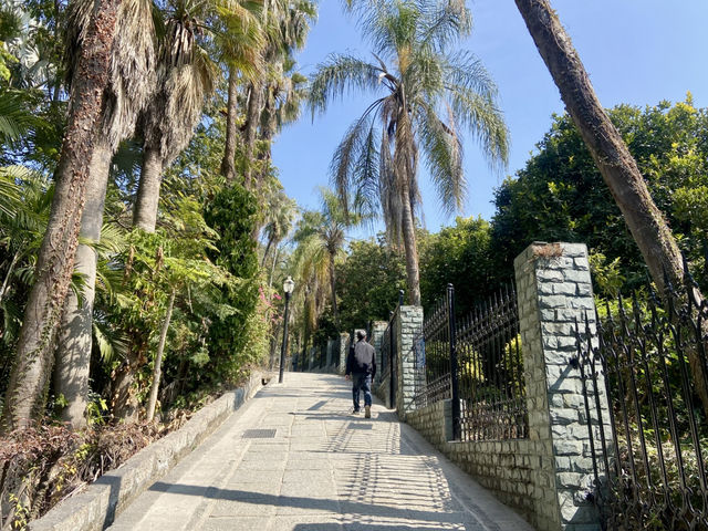 🌅情人節廈門約會景點推薦💘鼓浪嶼🌊🌴