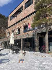 눈이 쌓인 산을 보며 뜨듯한 스파로 힐링을