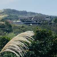 貓空漫遊-步道、美景與茶香的完美結合