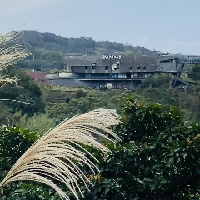 貓空漫遊-步道、美景與茶香的完美結合