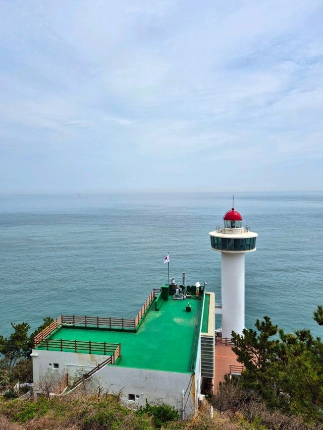 부산 바다와 절벽 : 태종대(영도등대)🇰🇷
