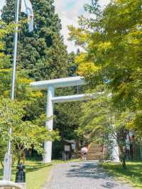 【福島】花手水×御朱印🏵️ 会津藩祖を祀る「土津神社」⛩🌸 