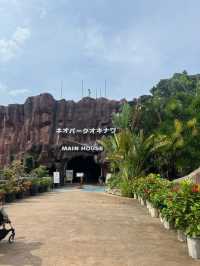 可愛的動物園，必坐小火車