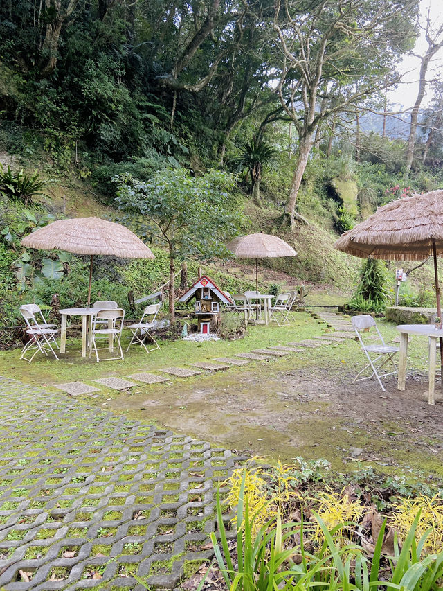 春日限定美景！桃園山林秘境，櫻花滿開超夢幻！