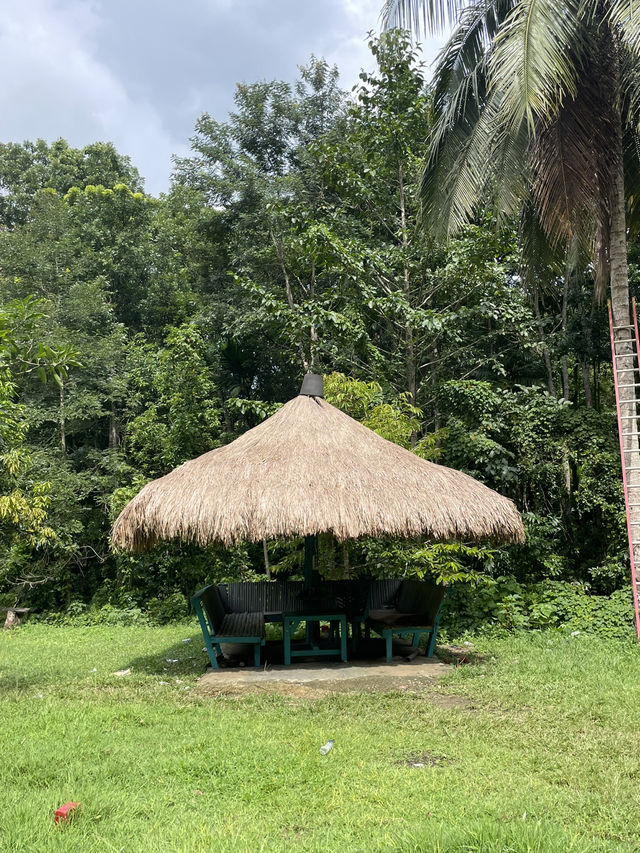 A Rainy Season Visit to Air Terjun Lokomboro: Worth It? 🌧️💦