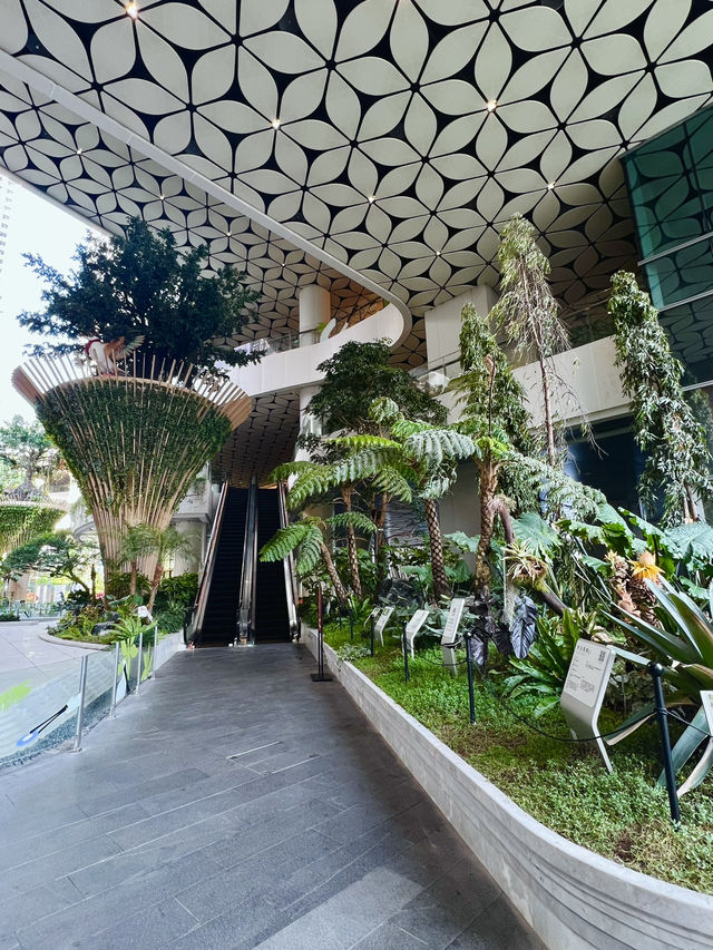 深圳🌿以森林🌳生態為題嘅新商場