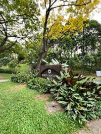 Fort Canning Tree Tunnel