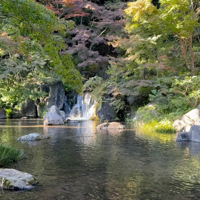 Expo ’70 Commemorative Park (万博記念公園) – A Nostalgic World Expo Site